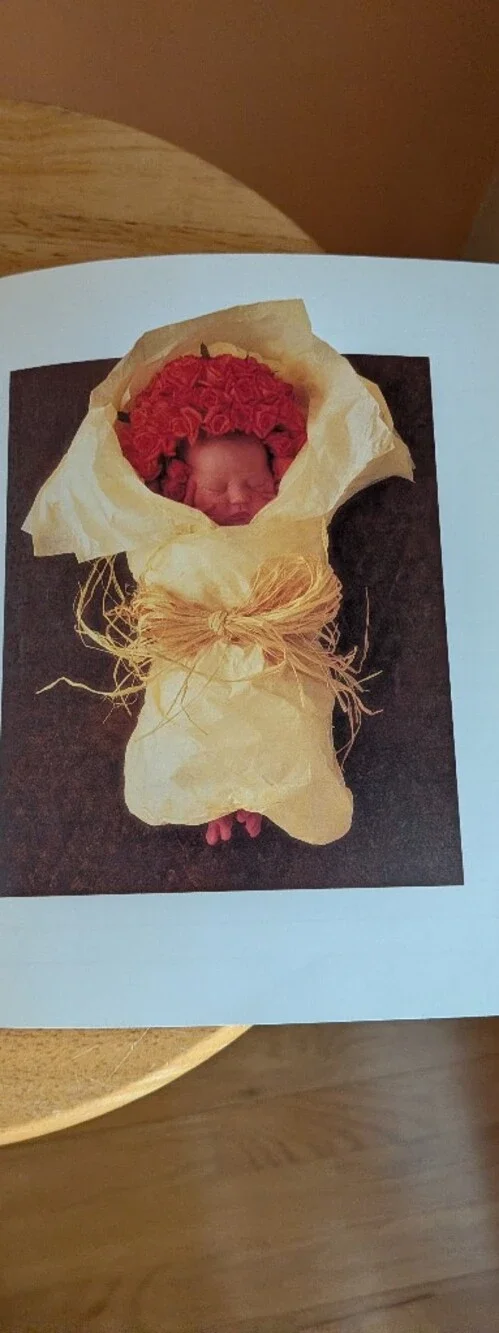 Down in the Garden Anne Geddes bookmark easy